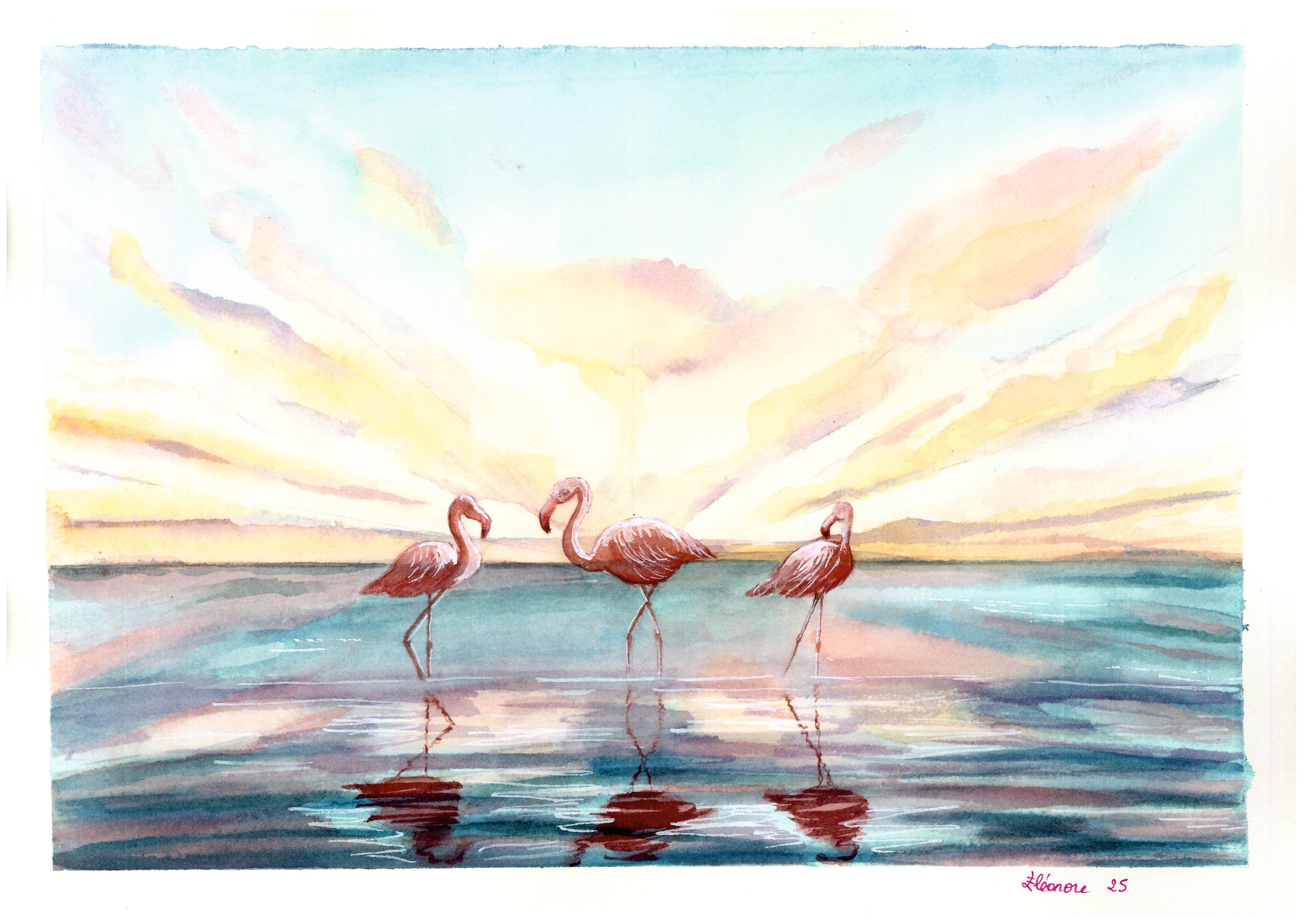 Flamencos amanecer