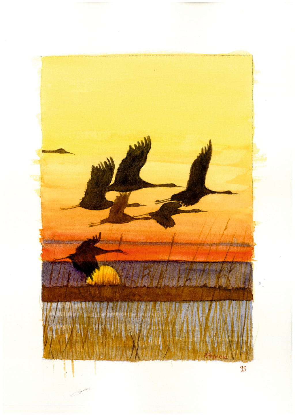 Acuarela a mano de Garzas en vuelo al amanecer, Mar Menor