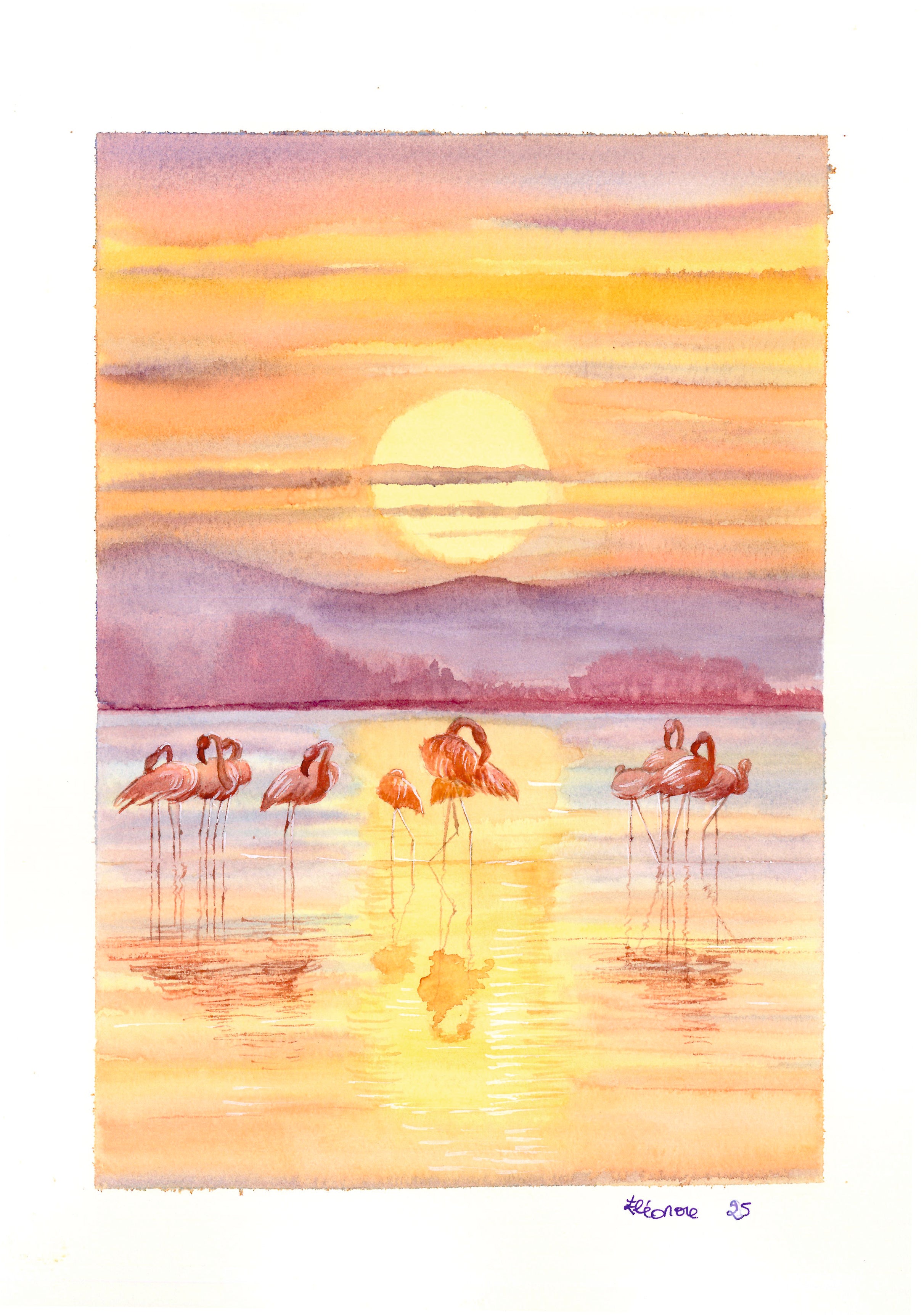 Flamencos Salinas , San pedro del Pinatar al atardecer