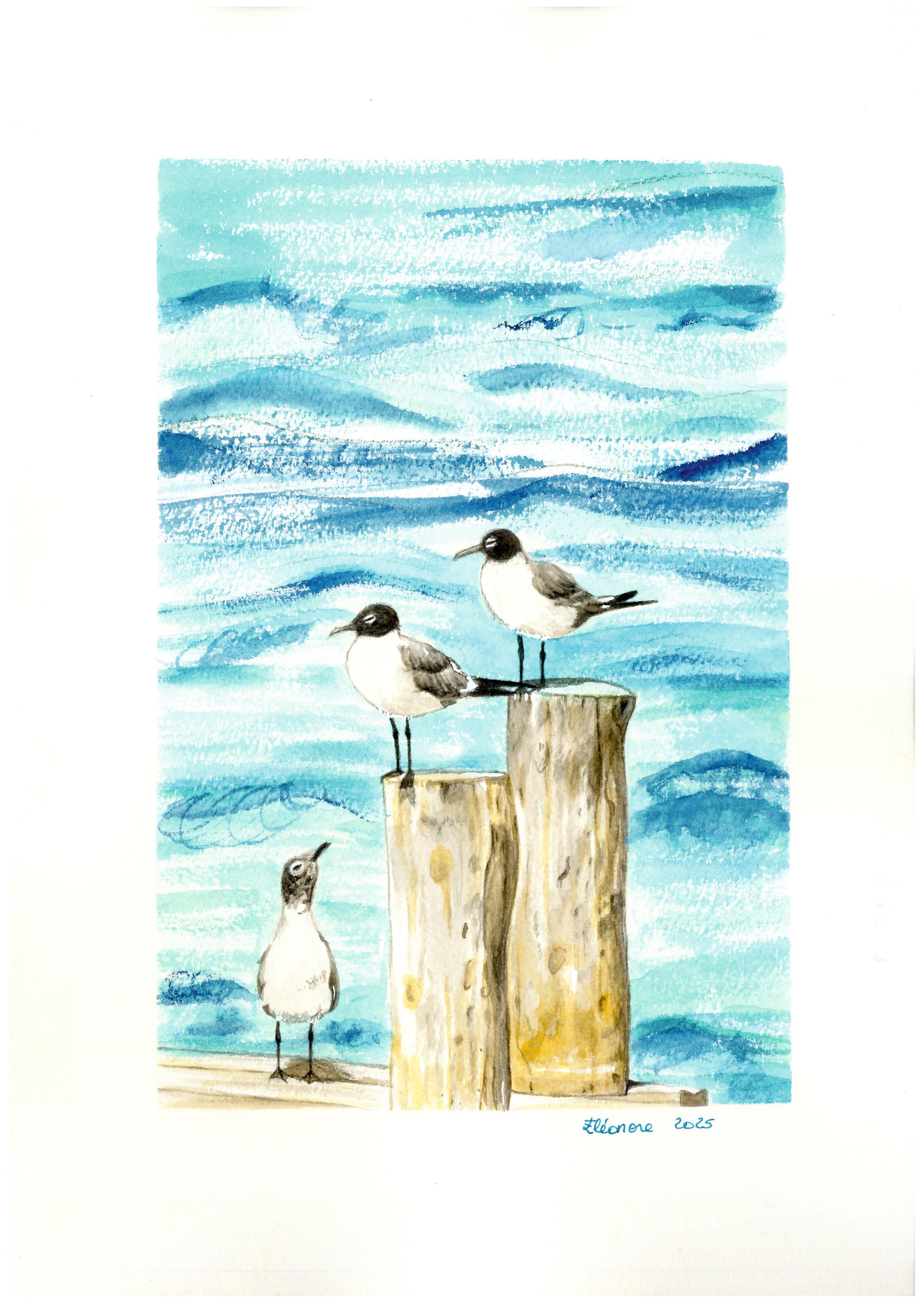 Gaviotas en el embarcadero, Mar Menor