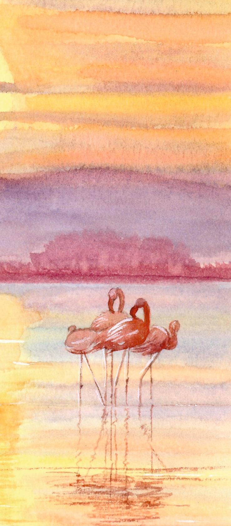 Acuarela original a mano de Flamencos de las Salinas de San Pedro al amanecer