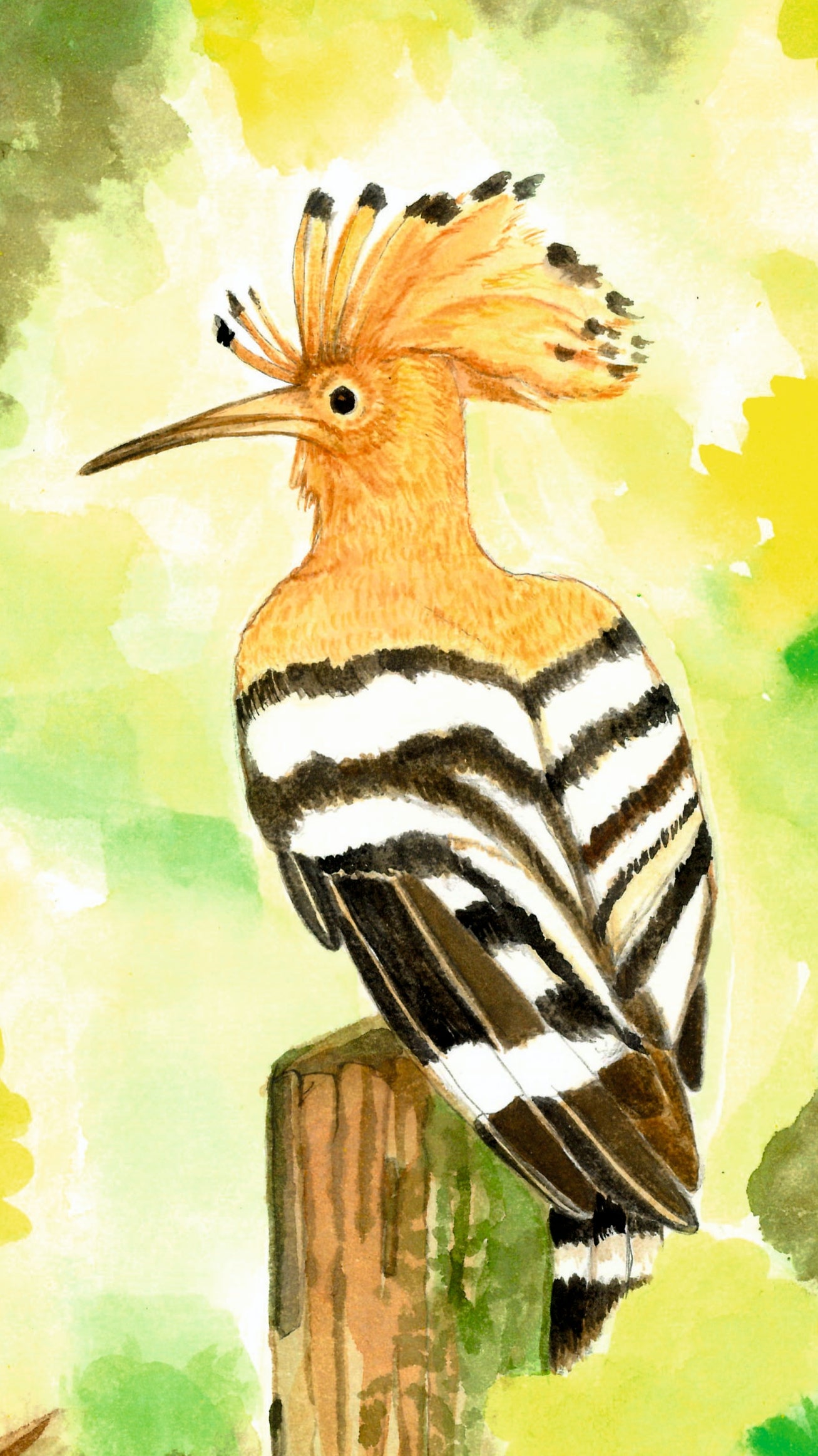 Acuarela a mano Abubilla en tronco