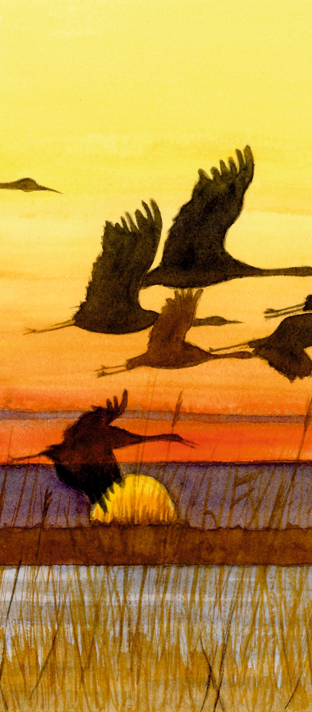 Acuarela a mano de Garzas en vuelo al amanecer, Mar Menor