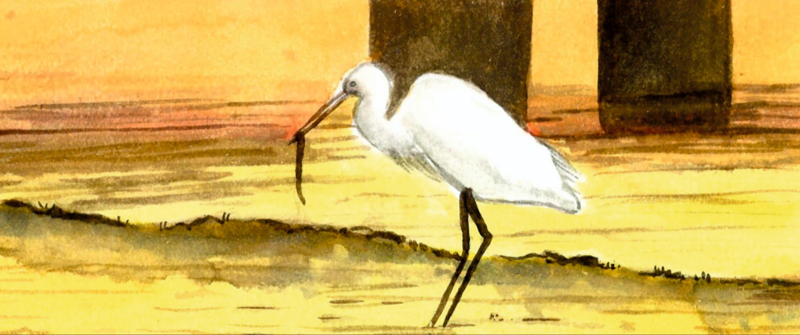 Acuarela Garza en la orilla al amanecer, Mar Menor