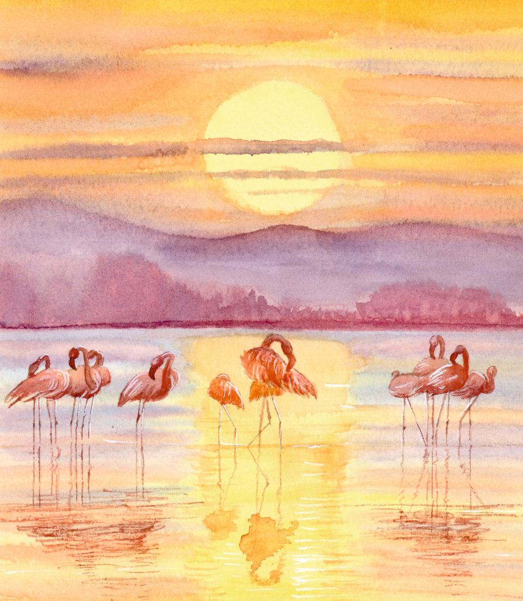 Flamencos Mar Menor, impresión artística