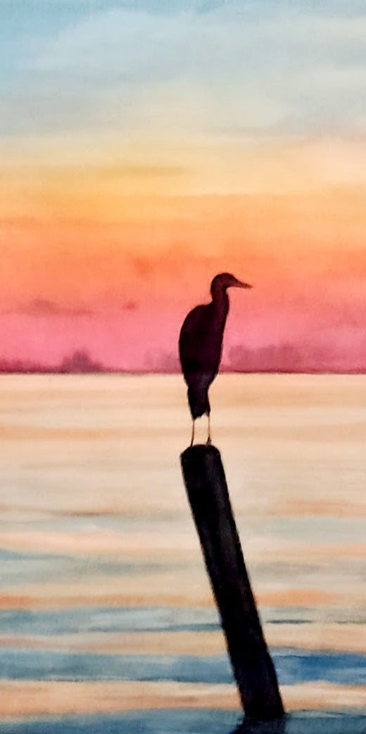 Garza en tronco al amanecer, Mar Menor