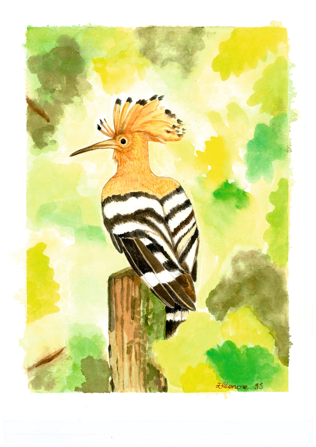 Acuarela a mano Abubilla en tronco