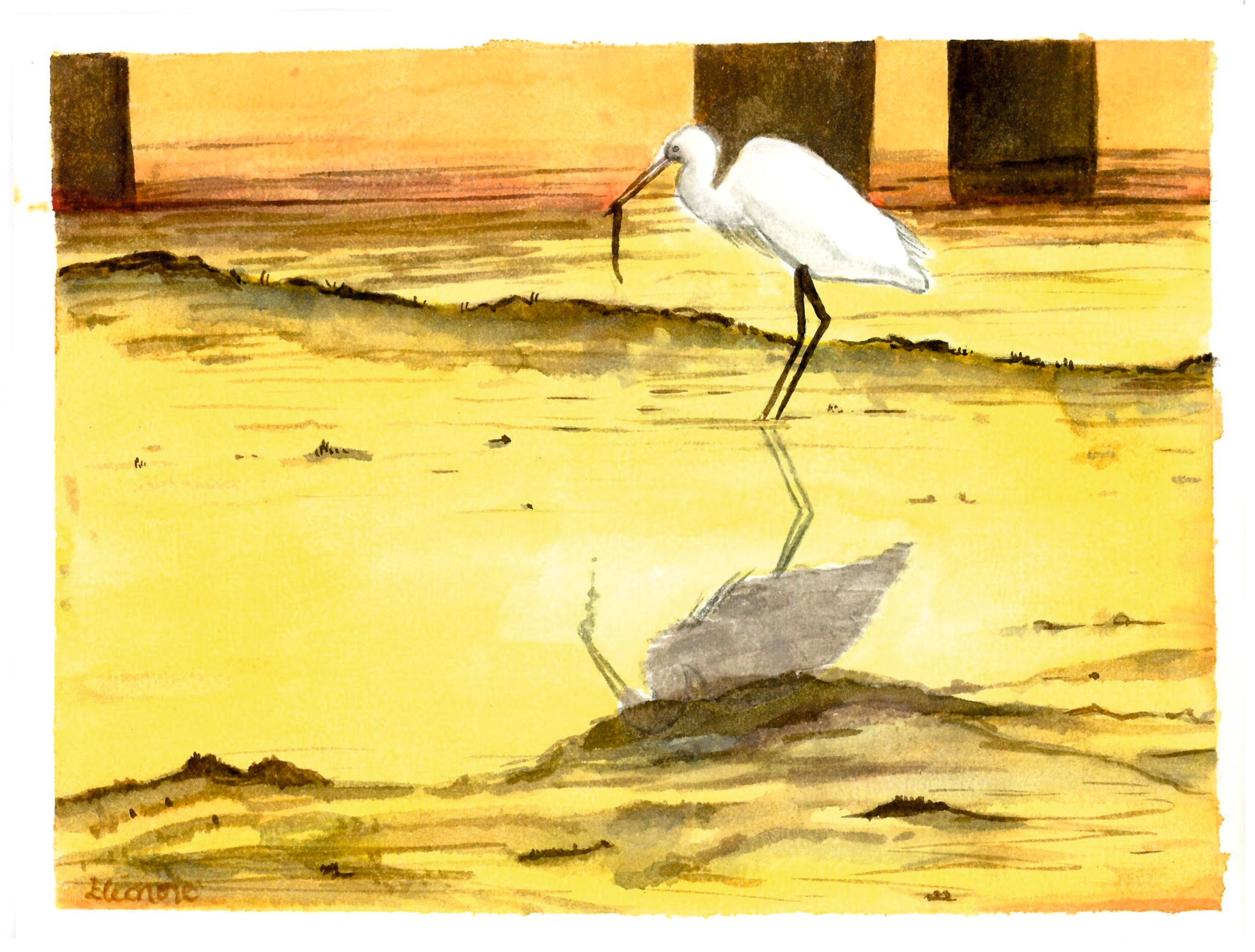 Acuarela Garza en la orilla al amanecer, Mar Menor