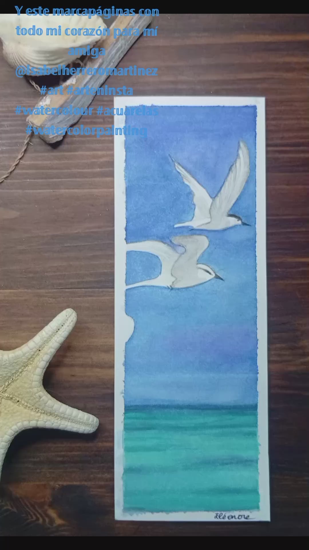 Gaviotas en vuelo, Mar Menor, Marcapáginas